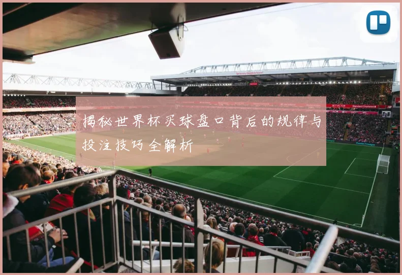 揭秘世界杯买球盘口背后的规律与投注技巧全解析