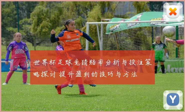 世界杯足球竞猜赔率分析与投注策略探讨 提升盈利的技巧与方法