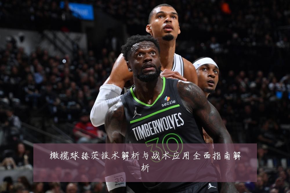 橄榄球赫茨技术解析与战术应用全面指南解析