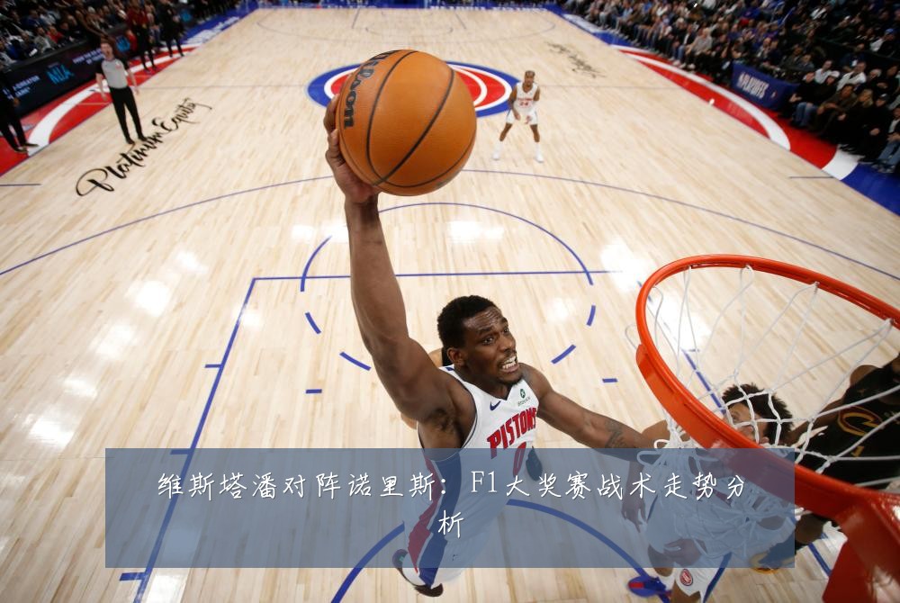 维斯塔潘对阵诺里斯:F1大奖赛战术走势分析