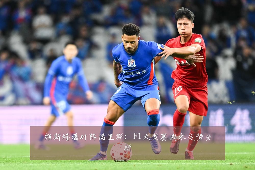 维斯塔潘对阵诺里斯:F1大奖赛战术走势分析